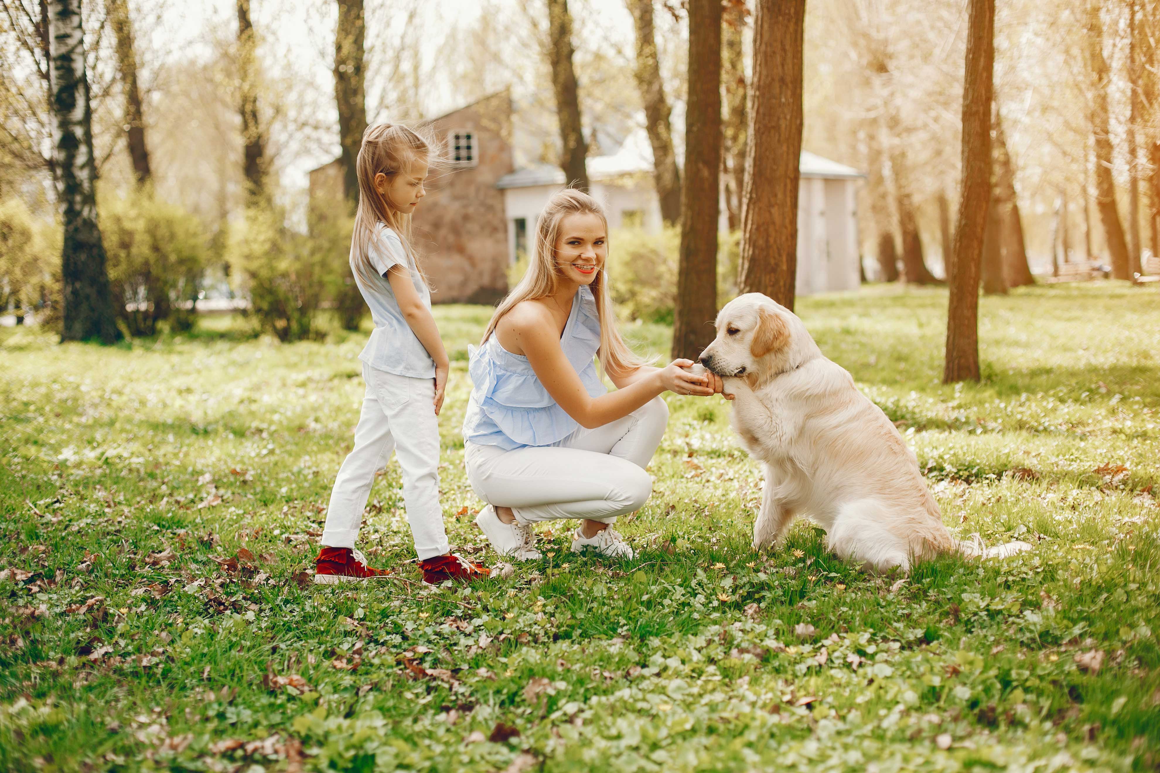 The Ultimate Guide to Becoming a Successful House Sitter