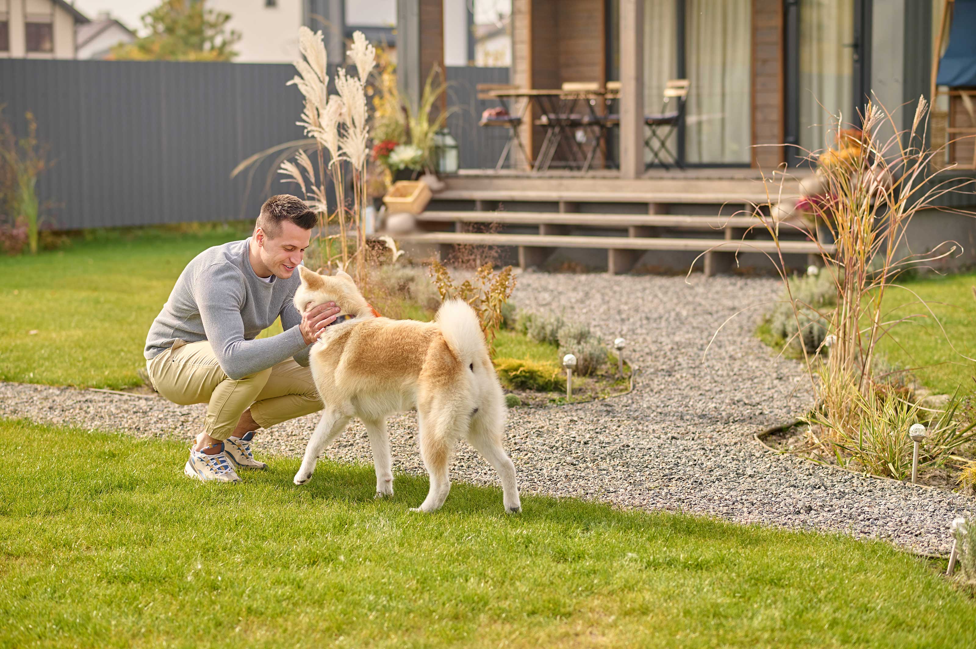 Homeowner Tips: Finding and Selecting the Perfect House Sitter
